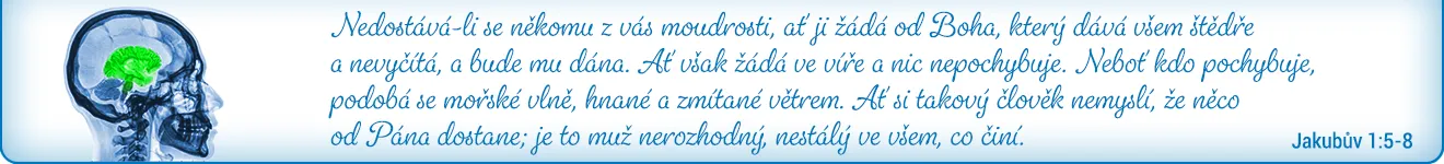 Nedostatek moudrosti