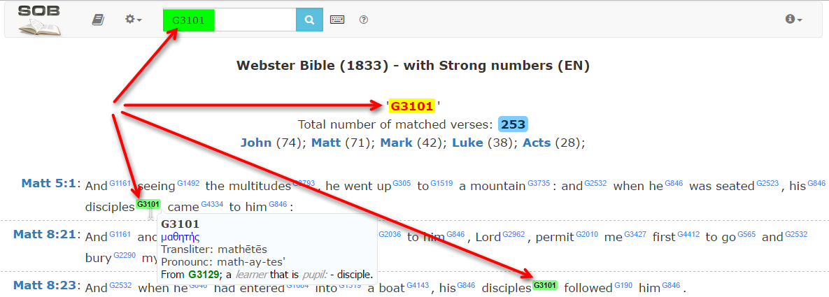 SOB (new version 2017) - detailed description 636-11